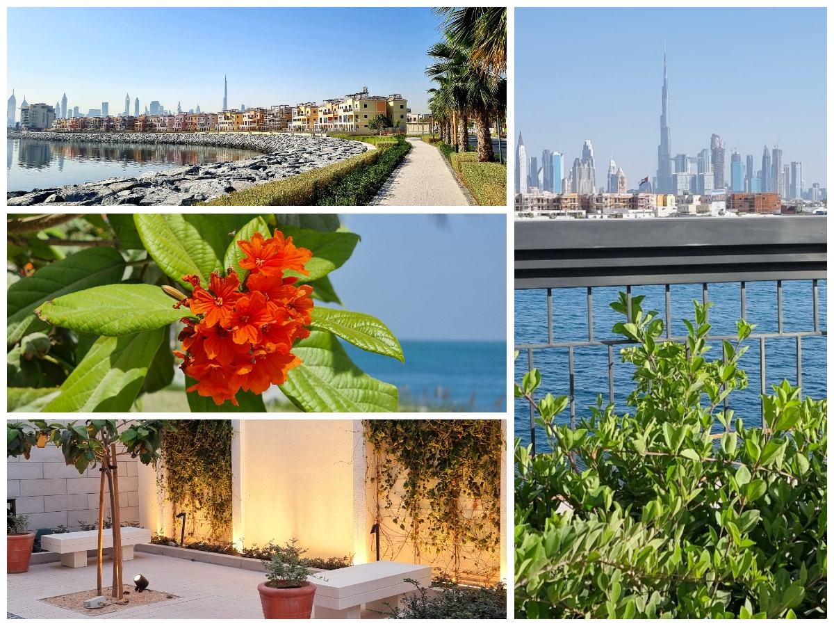 Port de La Mer Community