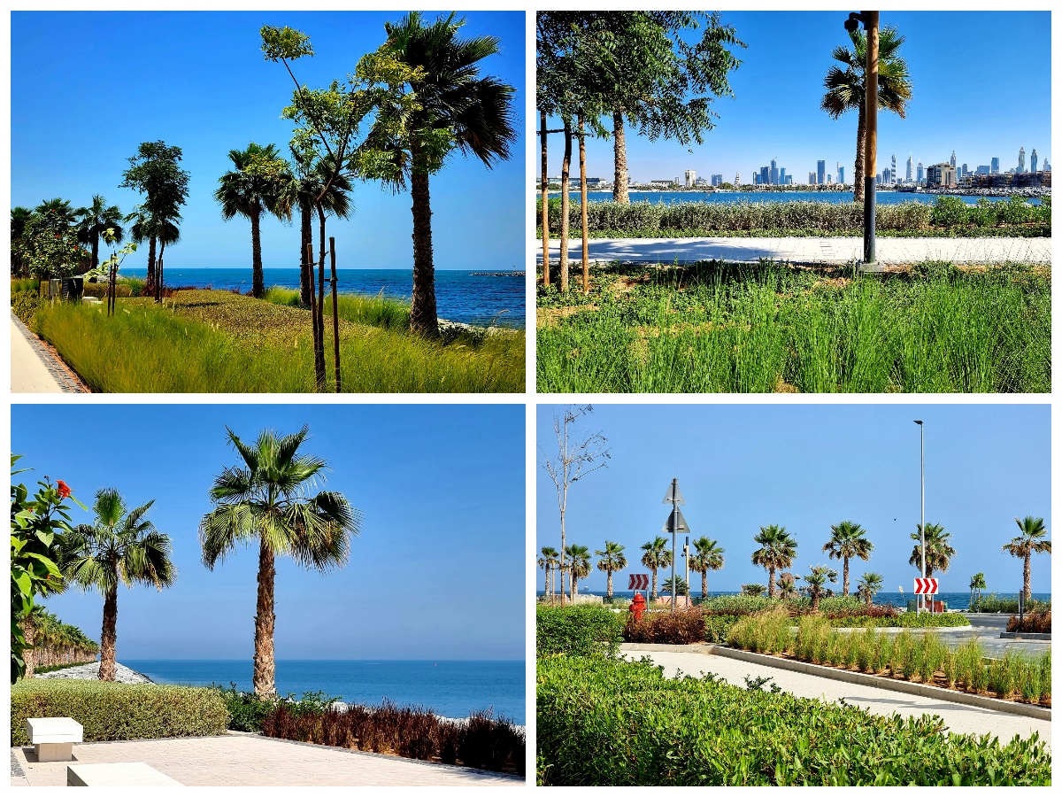 Port de La Mer is green